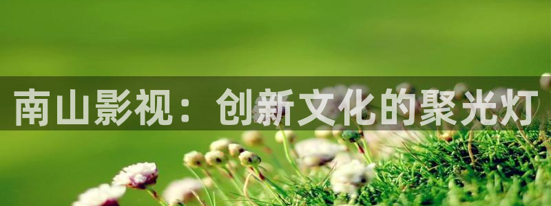 秋霞特色大片1级：南山影视：创新文化的聚光灯