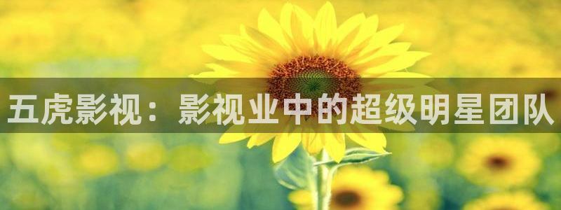 秋霞影院电视剧免费观看：五虎影视：影视业中的超级明星团队