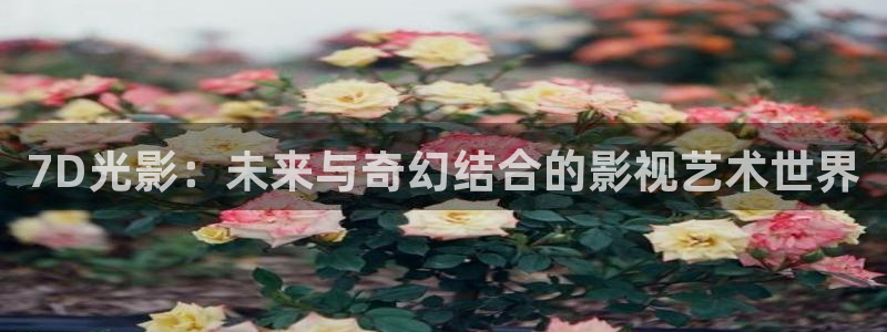 秋霞影视网在线