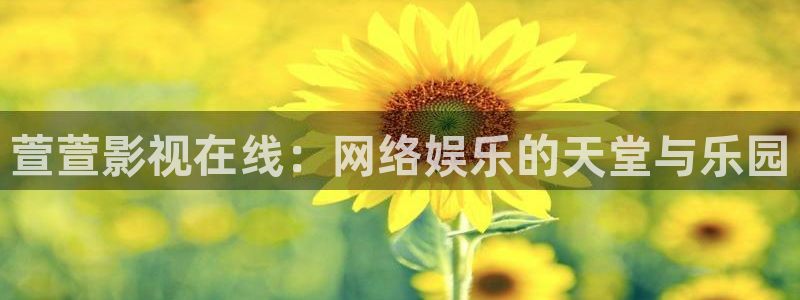 秋霞网84鲁丝片在线观看