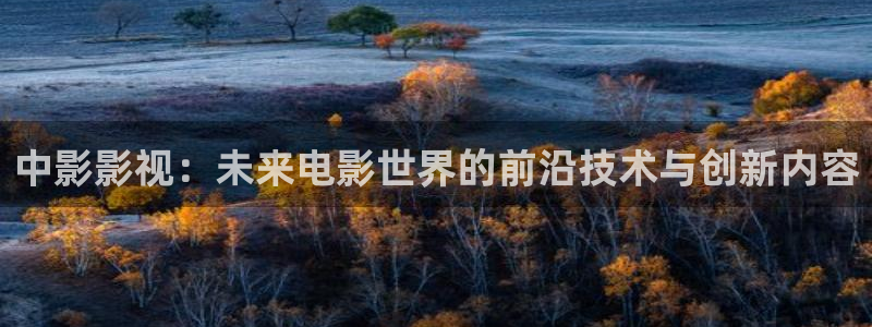 秋霞电影在线理论