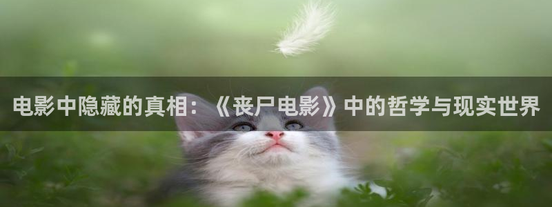 秋霞网久久