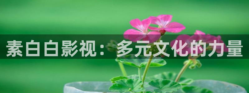 秋霞电影伦理免费