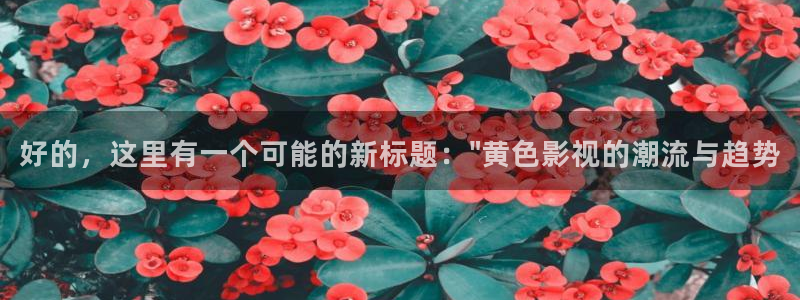 新秋霞影院