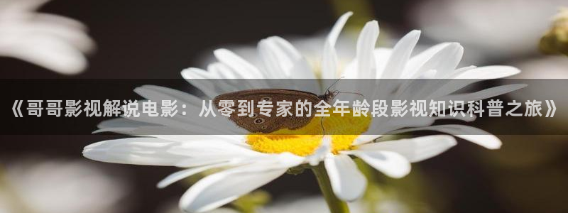 .秋霞网