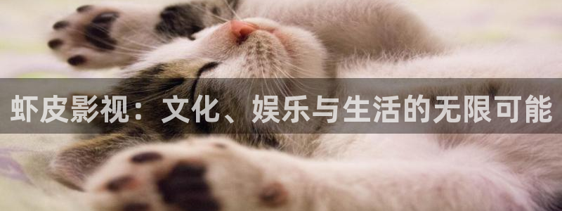 秋霞网国产