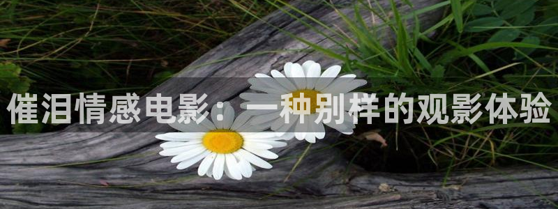 秋霞电影毛碟片