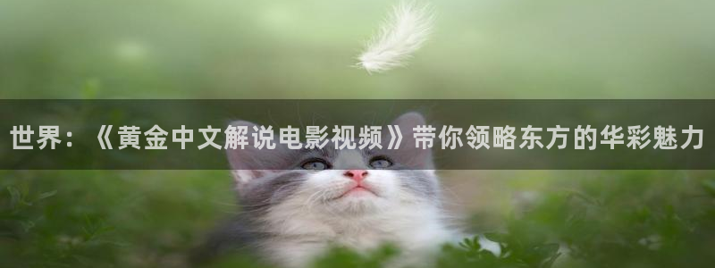 秋霞韩国电影手机在线