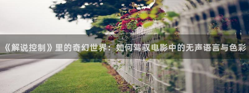 q秋霞电影