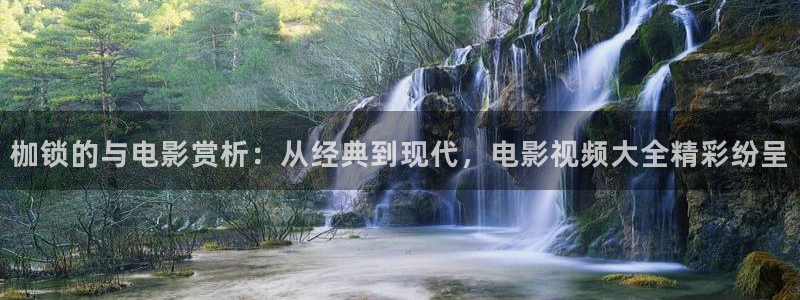 秋霞电影网免费在线观看