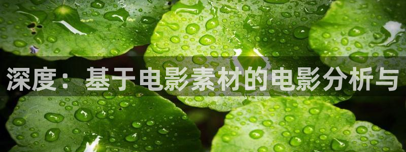 秋霞仑理片