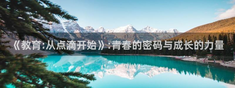 秋霞电影国产伦理