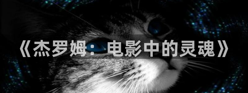 秋霞在线理论电影