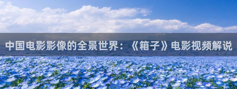 秋霞手机视频电影网