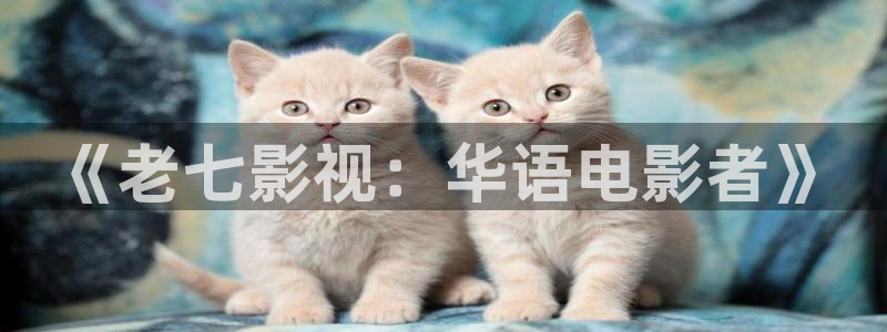 秋霞久久理论电影