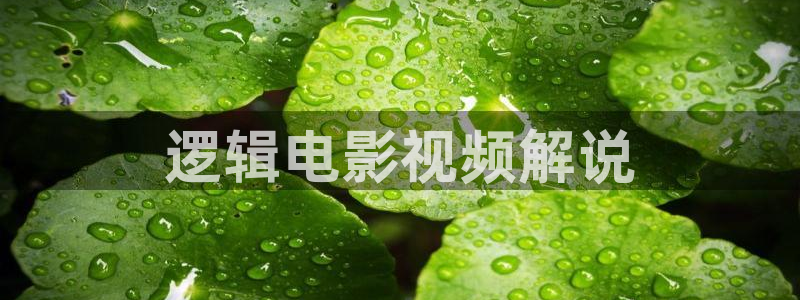 秋霞16