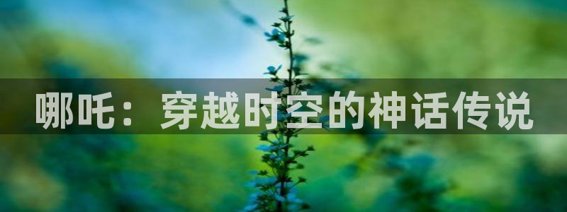 秋霞电影网免费观看