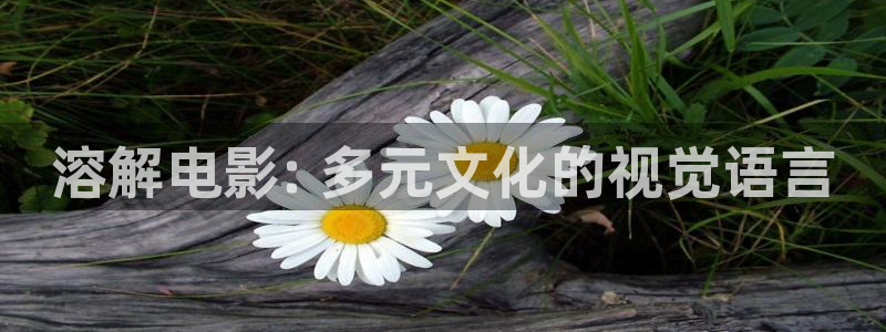 韩国秋霞啪啪片