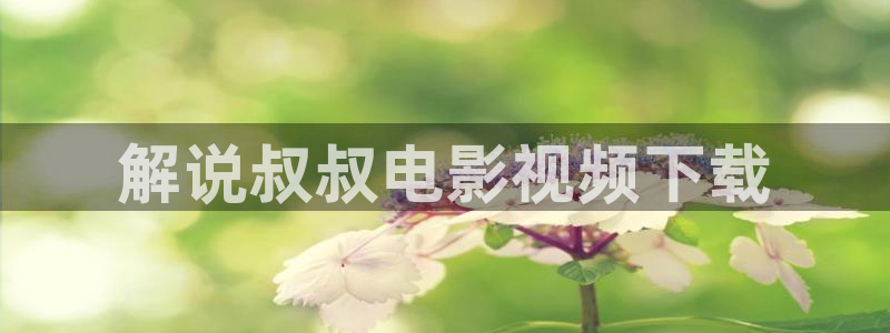 秋霞免费伦理网
