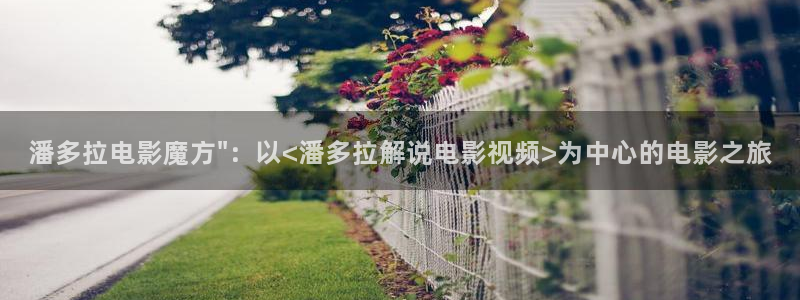 秋霞电影软件
