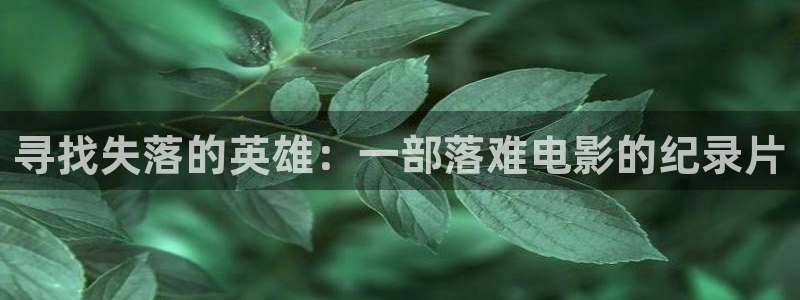 成人秋霞网：寻找失落的英雄：一部落难电影的纪录片