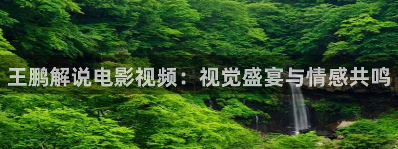 秋霞说电影：王鹏解说电影视频：视觉盛宴与情感共鸣