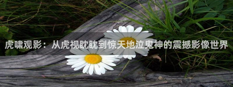 秋霞电影伊人：虎啸观影：从虎视眈眈到惊天地泣鬼神的震撼影像世界