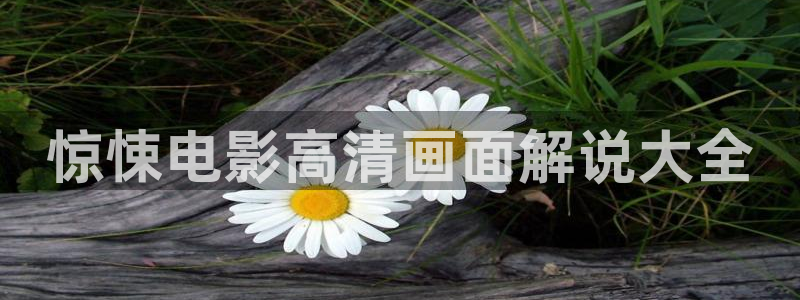 秋霞b片：惊悚电影高清画面解说大全