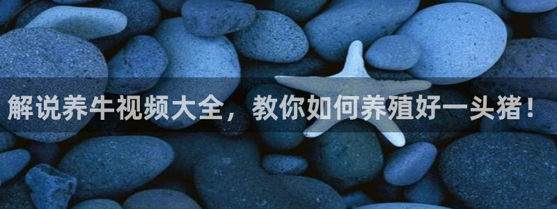 秋霞电影网站毛碟片：解说养牛视频大全，教你如何养殖好一头猪！