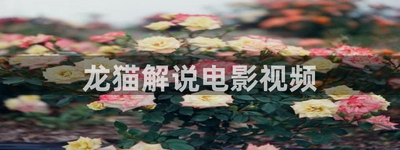 秋霞伦理三级电影