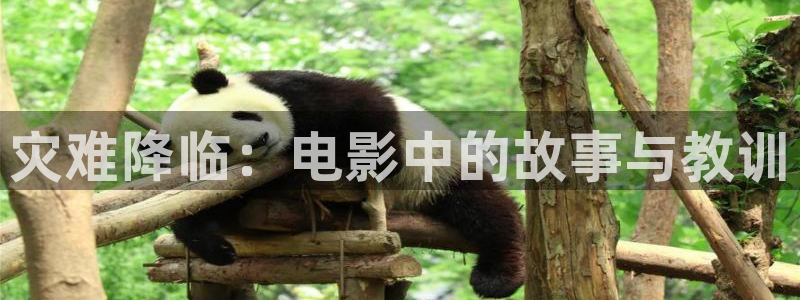秋霞影院飘花影院：灾难降临：电影中的故事与教训