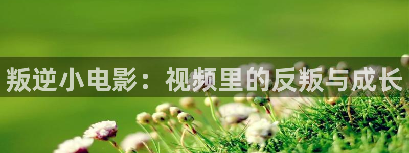 good秋霞电影：叛逆小电影：视频里的反叛与成长