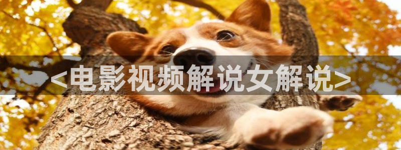 日本伦理片秋霞：<电影视频解说女解说>