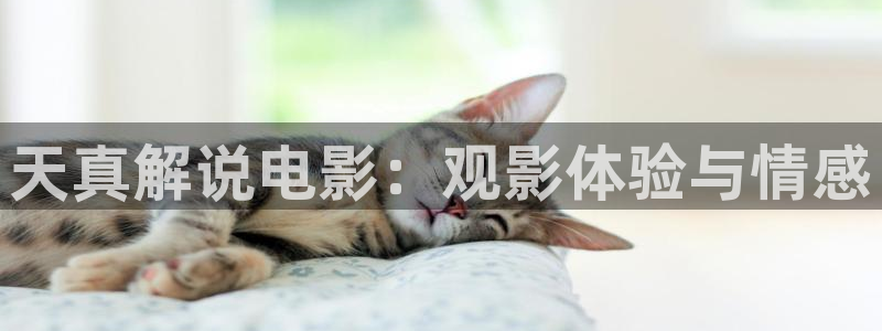 秋霞电影仓：天真解说电影：观影体验与情感