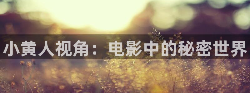 秋霞 伦理网：小黄人视角：电影中的秘密世界