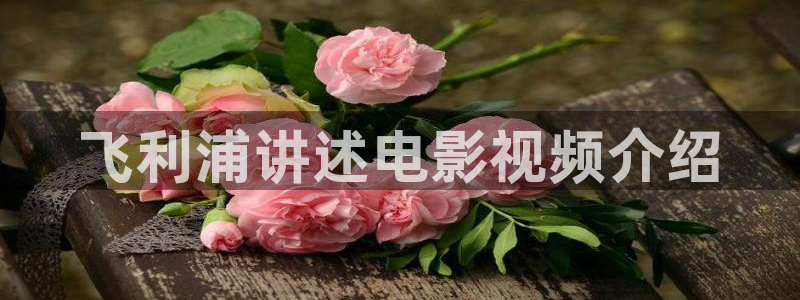 秋霞电影高清视频在线观看：飞利浦讲述电影视频介绍