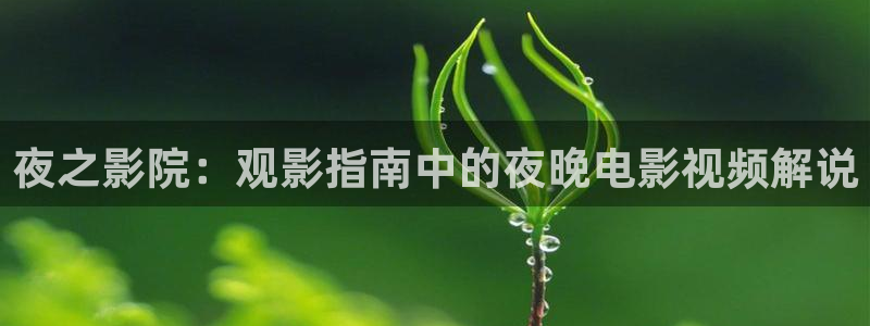 高秋霞