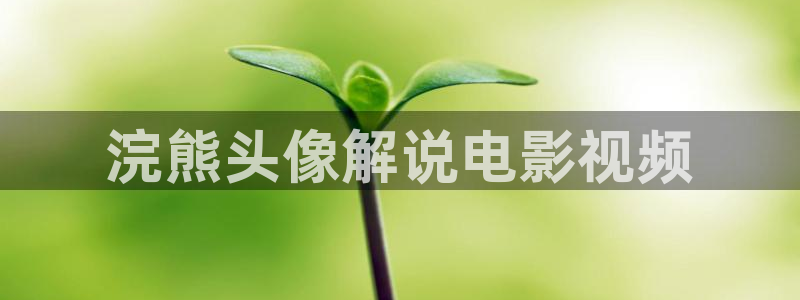 秋霞电影光棍影院：浣熊头像解说电影视频