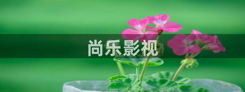 秋霞电影网秋霞电影网：尚乐影视