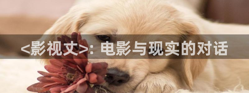 秋霞,：<影视丈>: 电影与现实的对话
