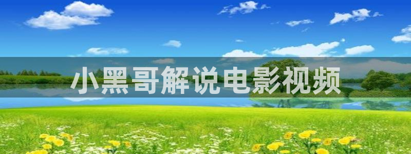 神马电影 秋霞：小黑哥解说电影视频