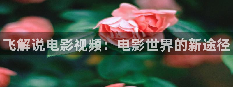 土鳖秋霞影视：飞解说电影视频：电影世界的新途径