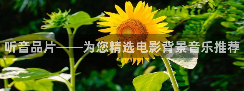 秋霞理伦网：听音品片——为您精选电影背景音乐推荐