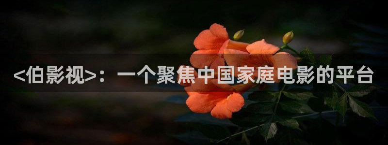 搜秋霞电影网：<伯影视>：一个聚焦中国家庭电影的平台
