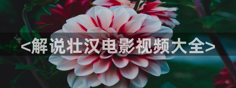 秋霞在线观看高清视频51