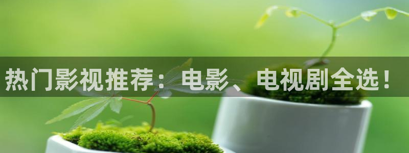 秋霞电视电影网