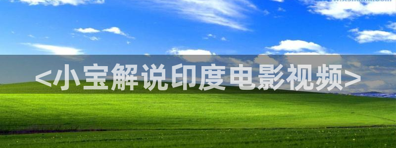 最新秋霞网