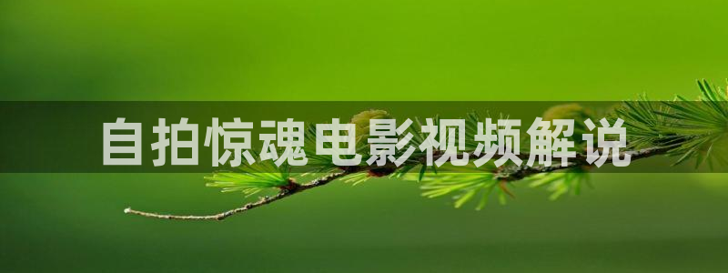 在线秋霞电影网