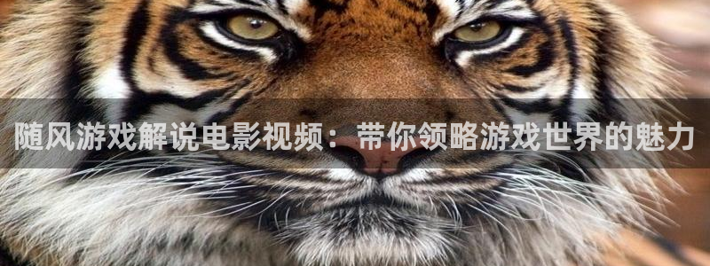 神马秋霞论理电影