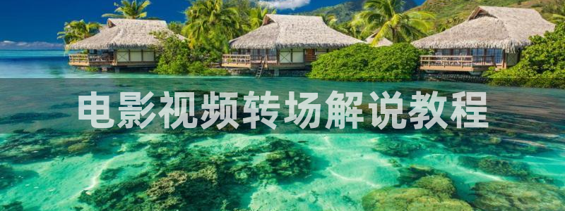秋霞网电影网站